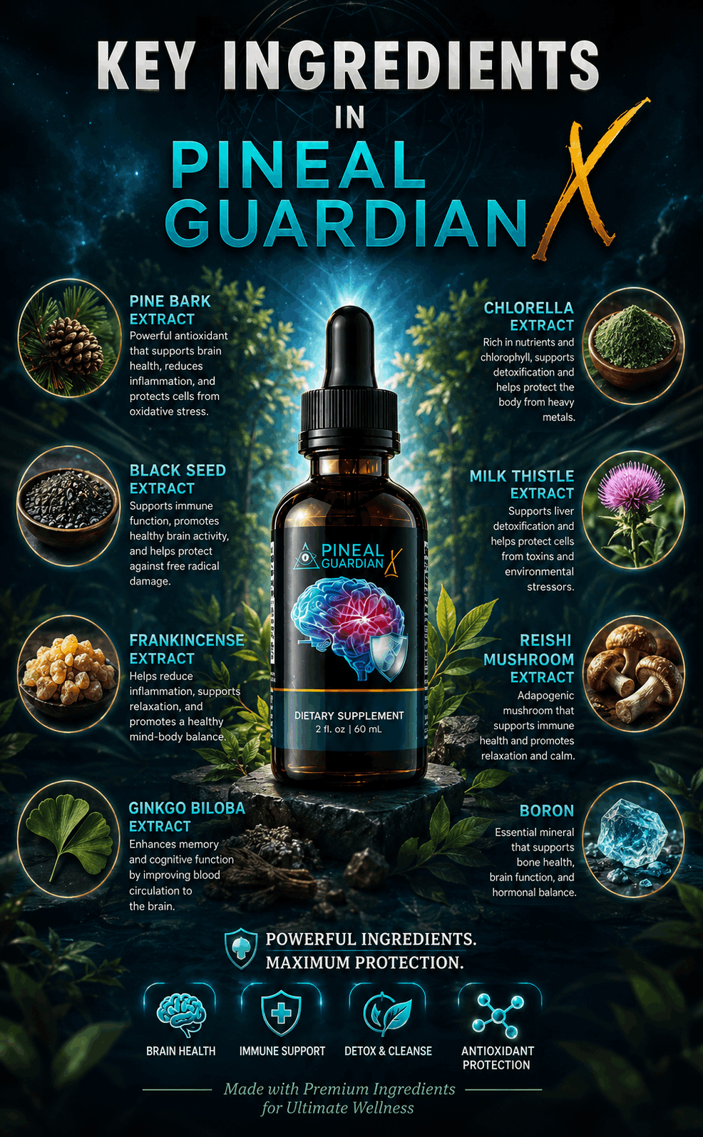 Pineal Guardian x Key Ingredient